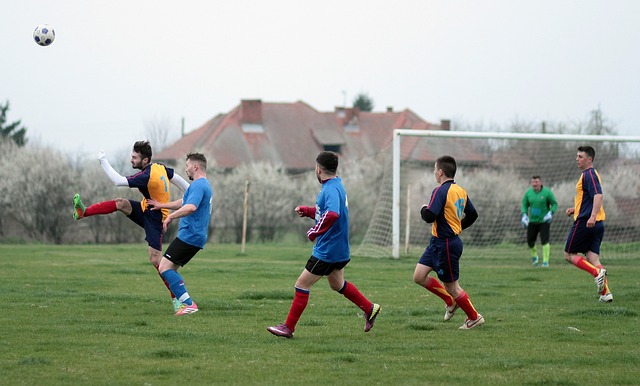 Sport