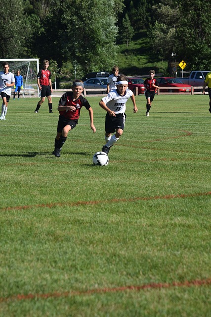 范加尔针对 范加尔针对