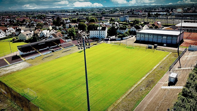 理解变得尤 理解变得尤