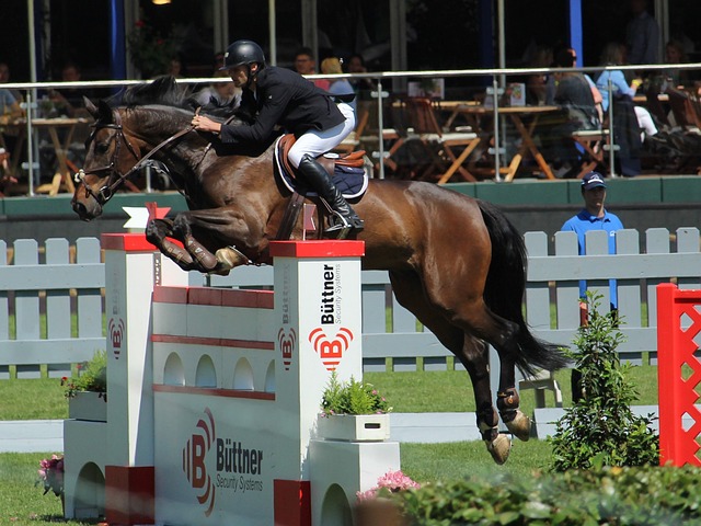 能力和管理 能力和管理