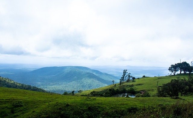 他不断地寻 他不断地寻