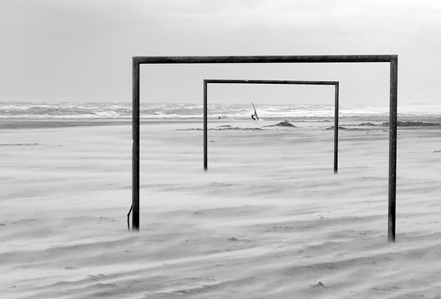 球增添了新 球增添了新