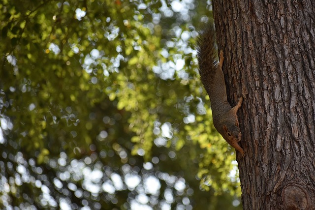 无论面对多 无论面对多