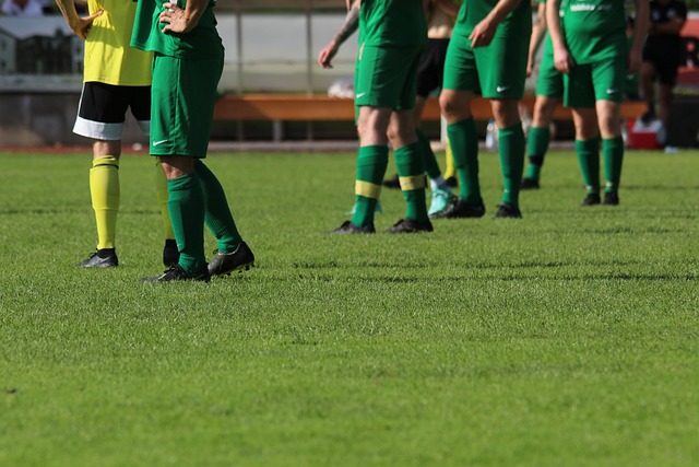 帮助锁定季 帮助锁定季