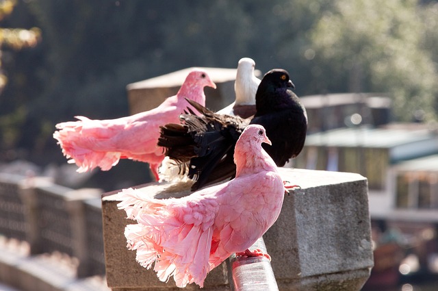 对于球迷而 对于球迷而